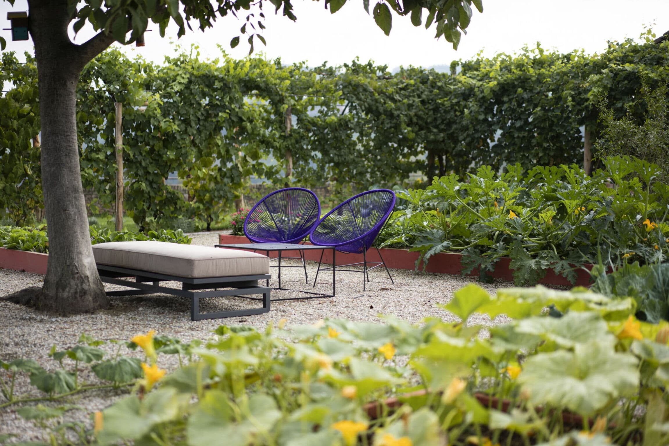 Scenic Pool Villa in Santo Stefano Belbo photo 5