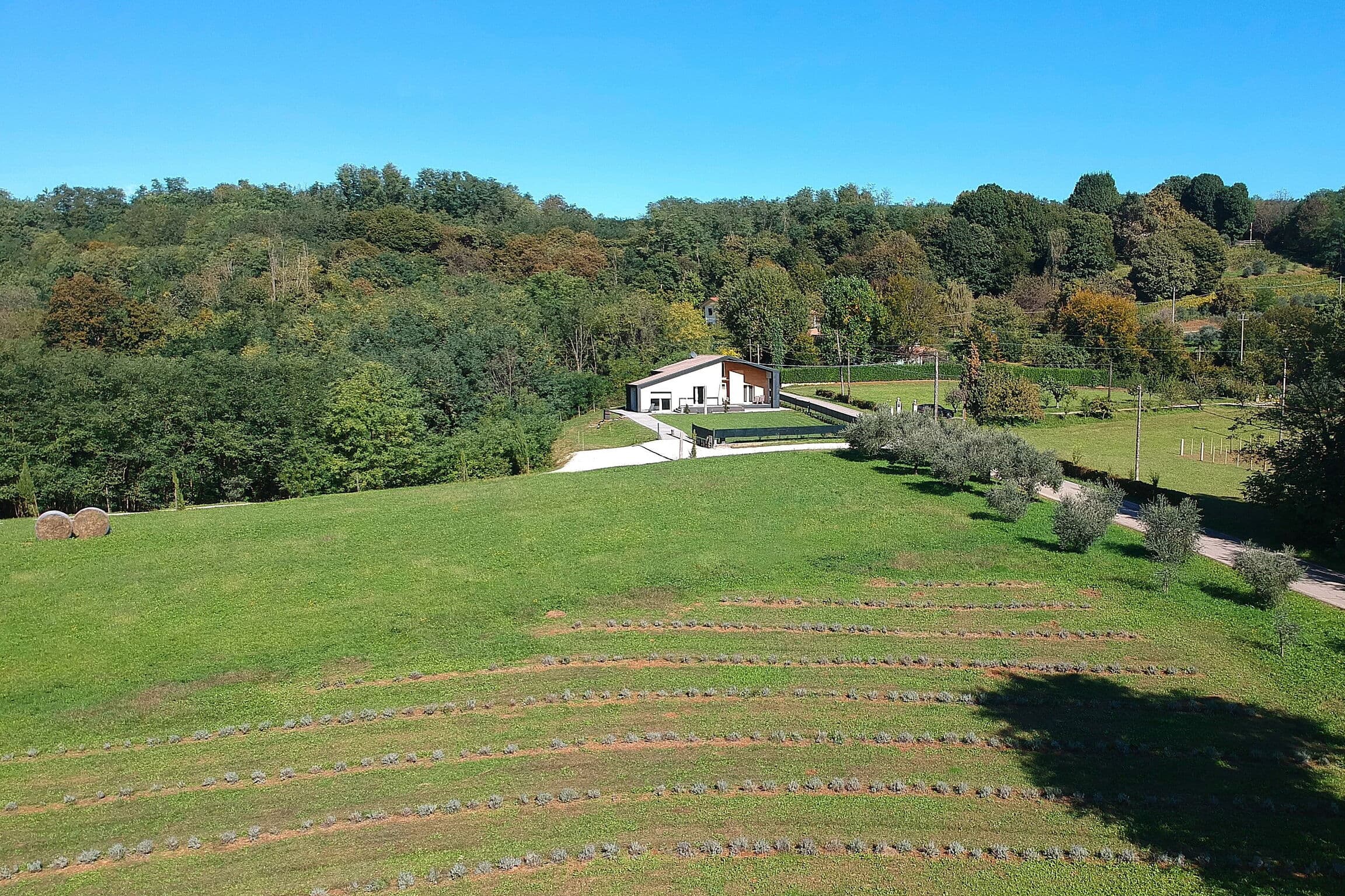 Nature Escape Villa with Pool in Montebelluna photo 5