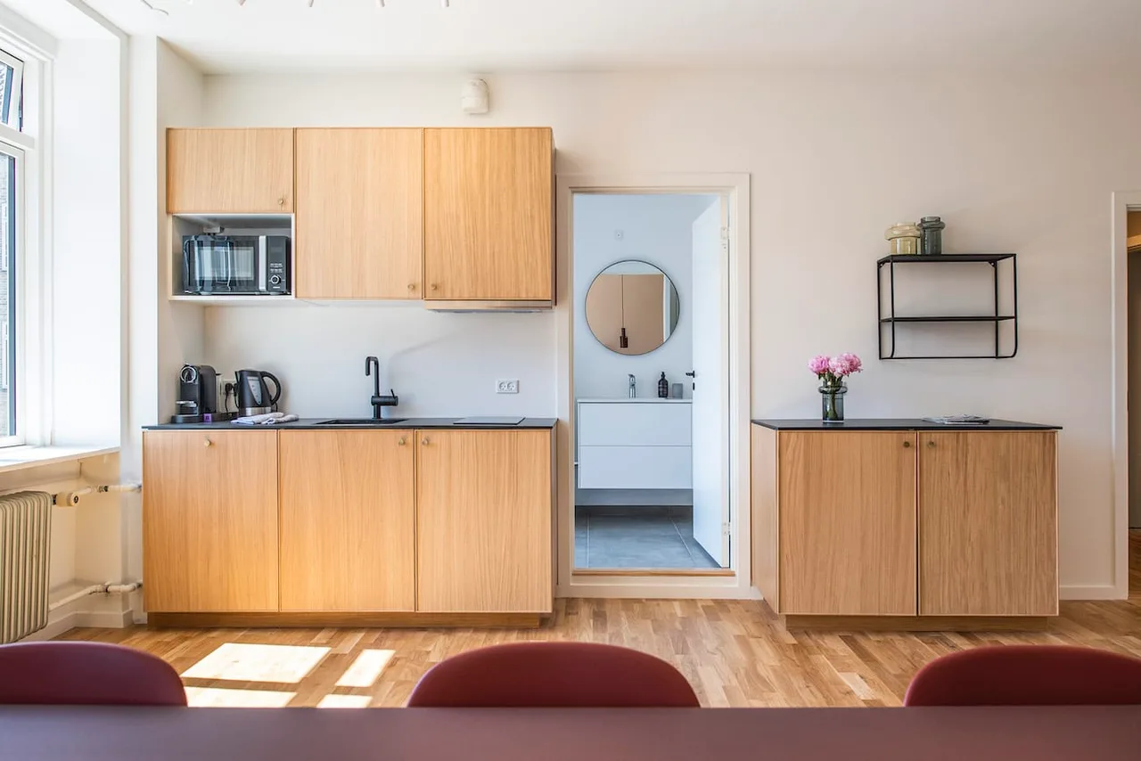 Modern Three-Bedroom Apartment in Copenhagen photo 2