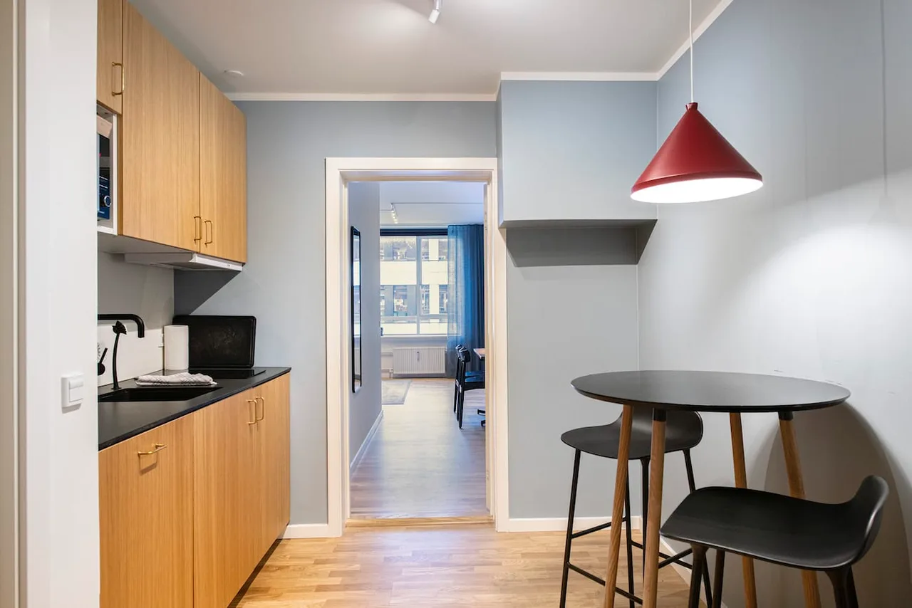Modern Lakeside Apartment in Copenhagen photo 5