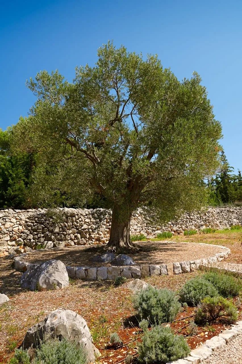 Spacious Villa in a Historic Village photo 3