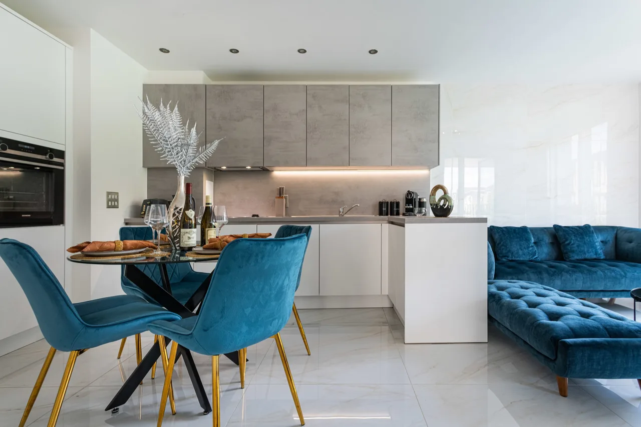 Accessible Luxury Apartment in London photo 3