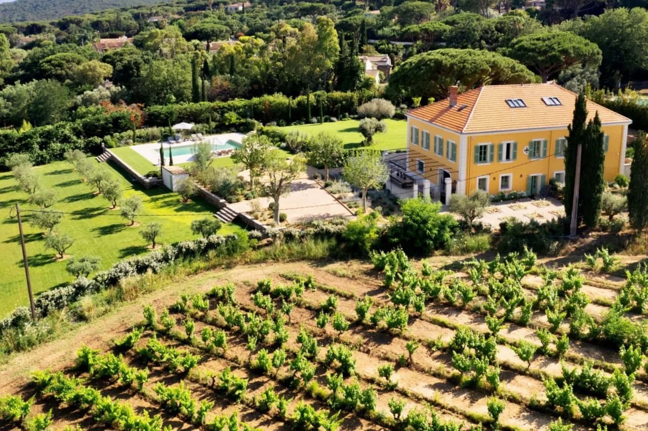 Extraordinary Vineyard Palace in Ramatuelle photo 2