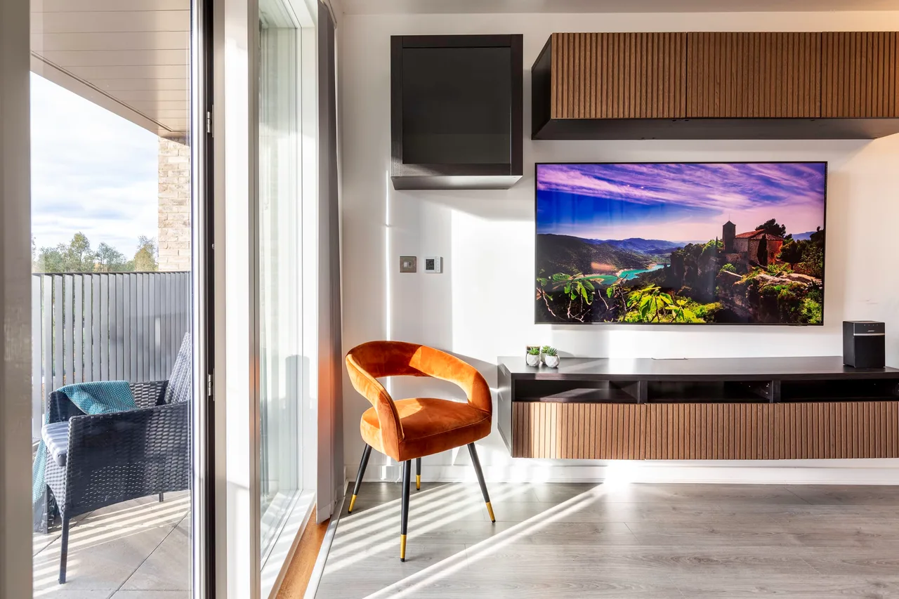 Park View Luxury Apartment in London photo 4