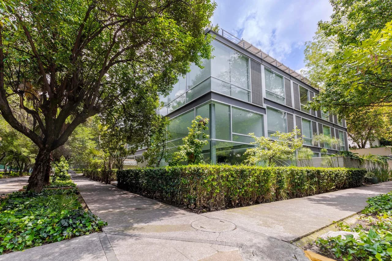 Private Terrace Condominium in Polanco photo 5