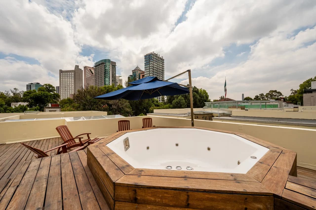 Rooftop Apartment in Polanco photo 2