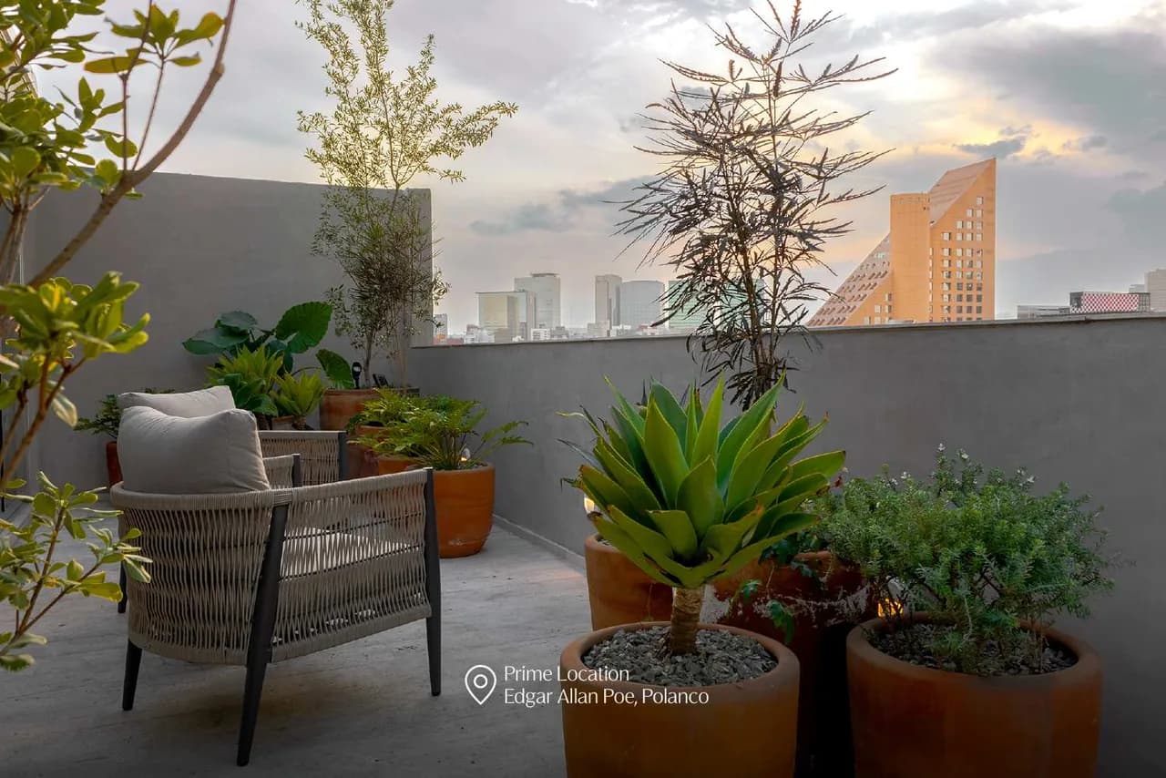 Elegant Balcony Apartment in Polanco photo 5