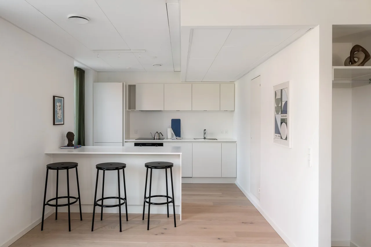 Contemporary Coastal View Apartment in Copenhagen photo 2