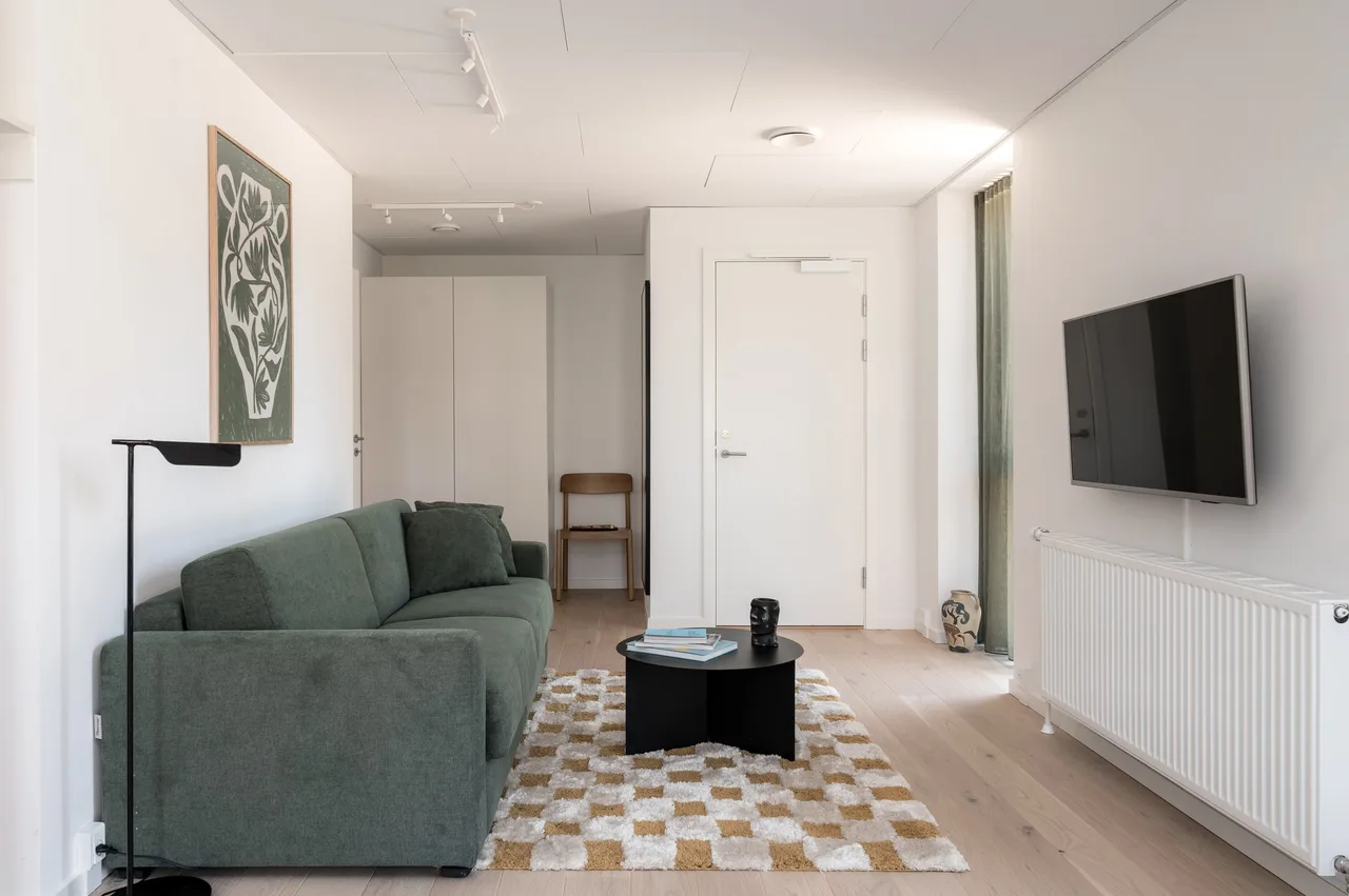 Contemporary Coastal View Apartment in Copenhagen photo 3