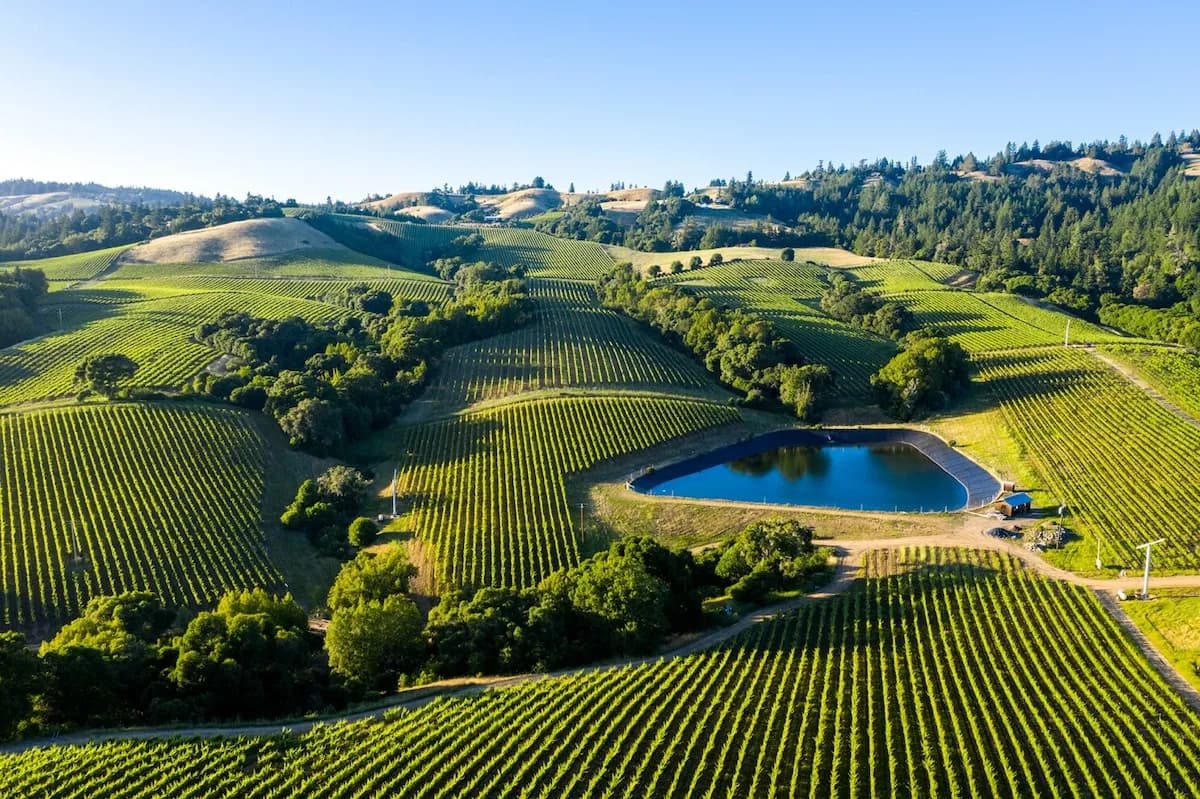 Chic Apartment Retreat in Napa Valley photo 2