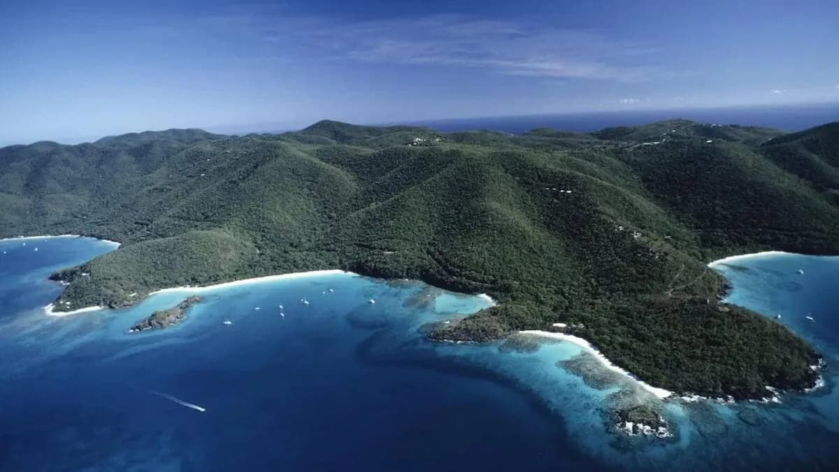 Oceanview Apartment Steps from the Beach in Saint Thomas photo 5