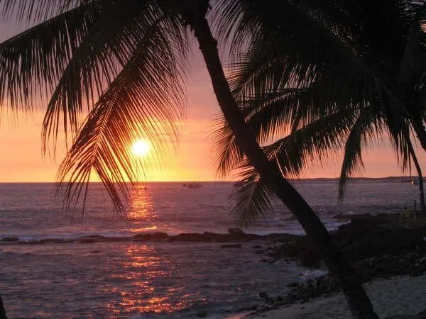 Tropical Garden View Condominium in Kailua-Kona photo 4