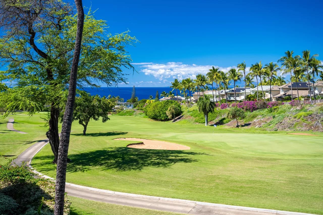 Luxury Lagoon View Condominium in Wailea Maui photo 2