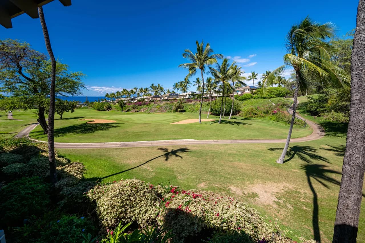 Luxury Lagoon View Condominium in Wailea Maui photo 3
