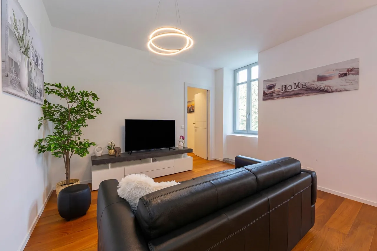 Love of Lugano - Apartment with Balcony & Parking photo 2