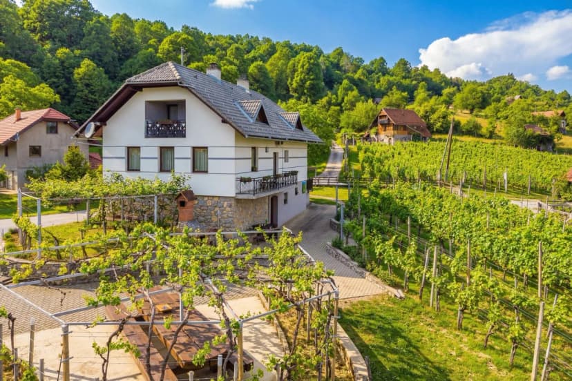 Vrtin Vineyard Family Retreat