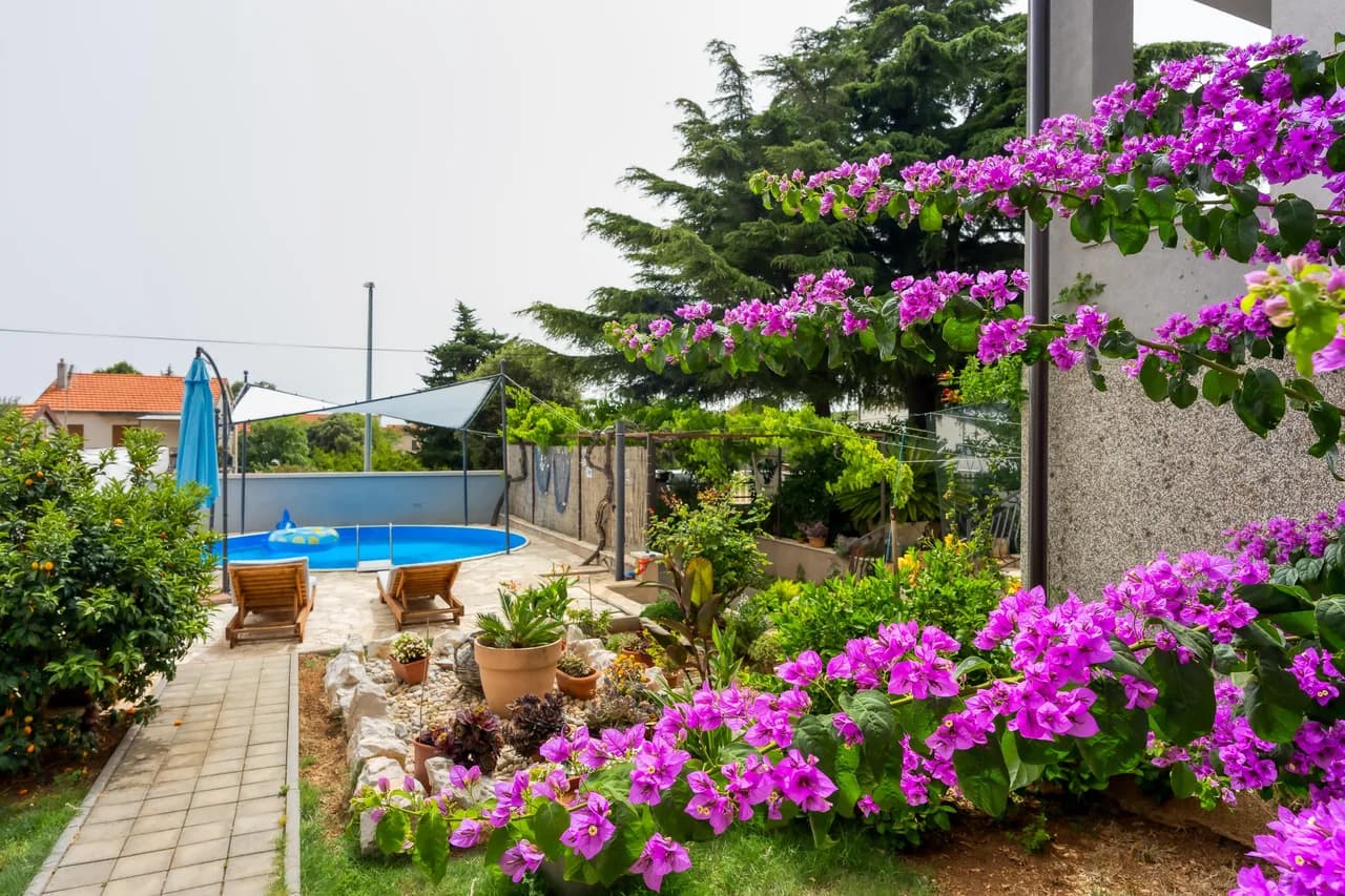 Garden View Apartment in Pakoštane photo 2