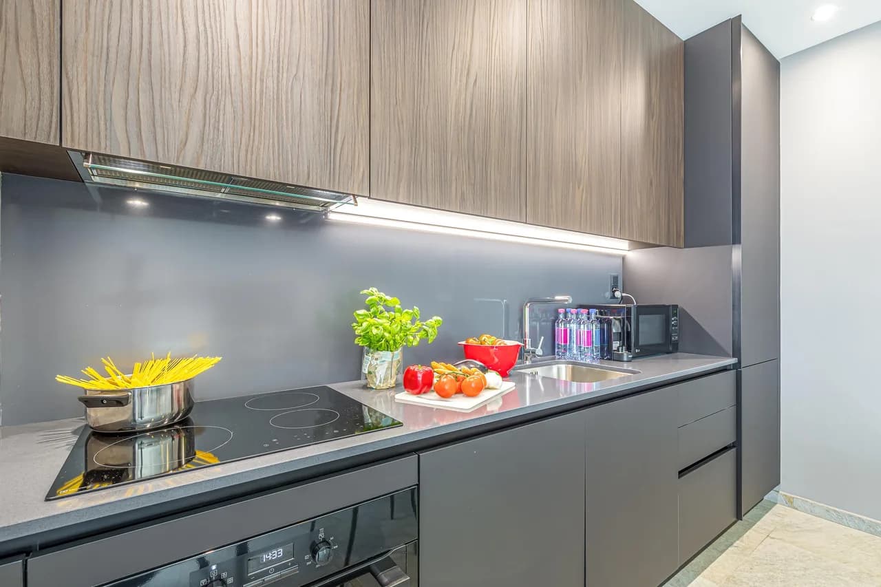 Executive Apartment in Lugano, Ticino photo 4