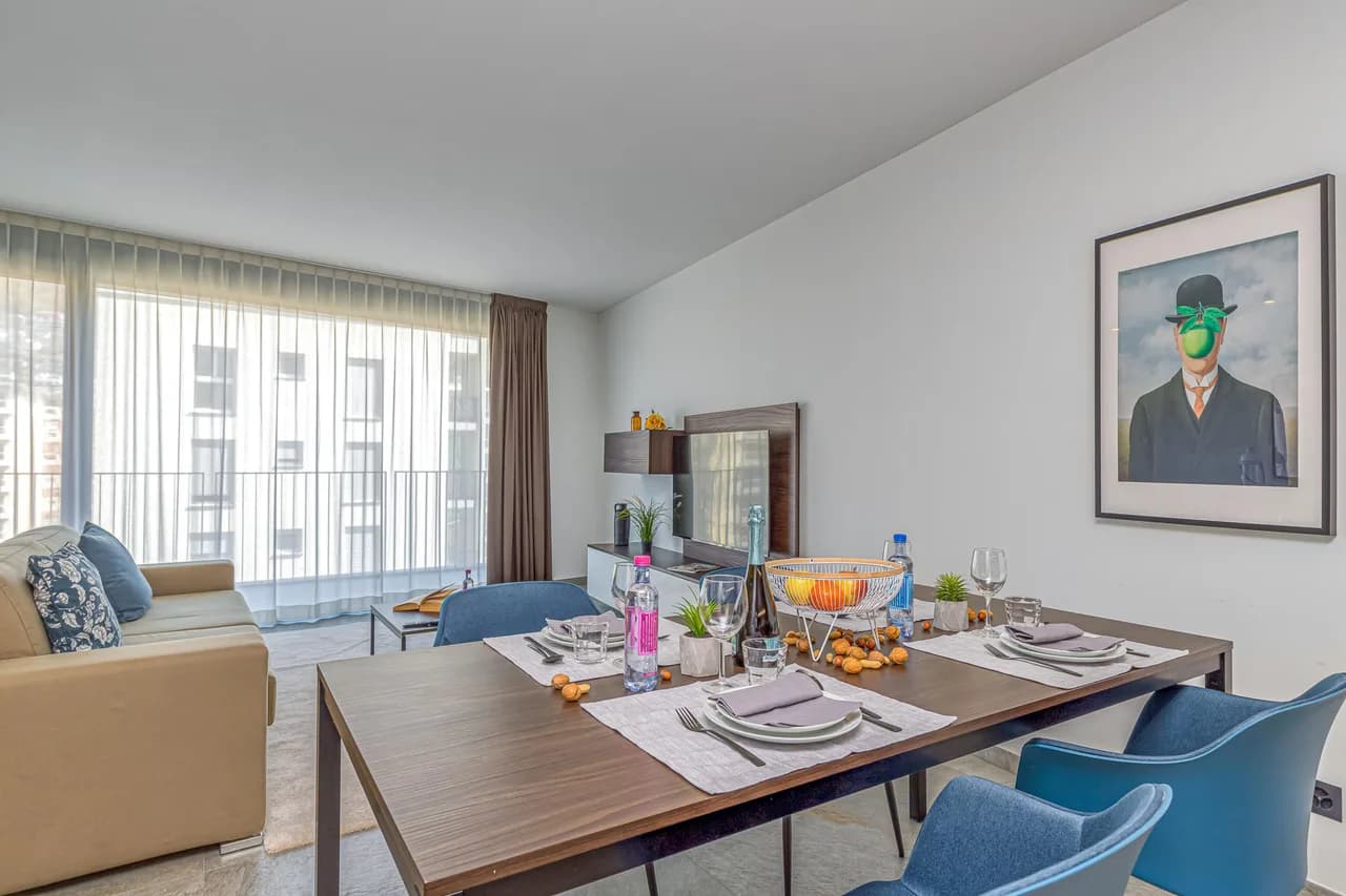 Modern Business Apartment in Ticino photo 3