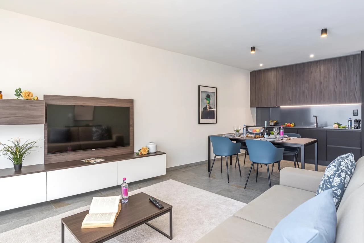 Modern Business Apartment in Ticino photo 4
