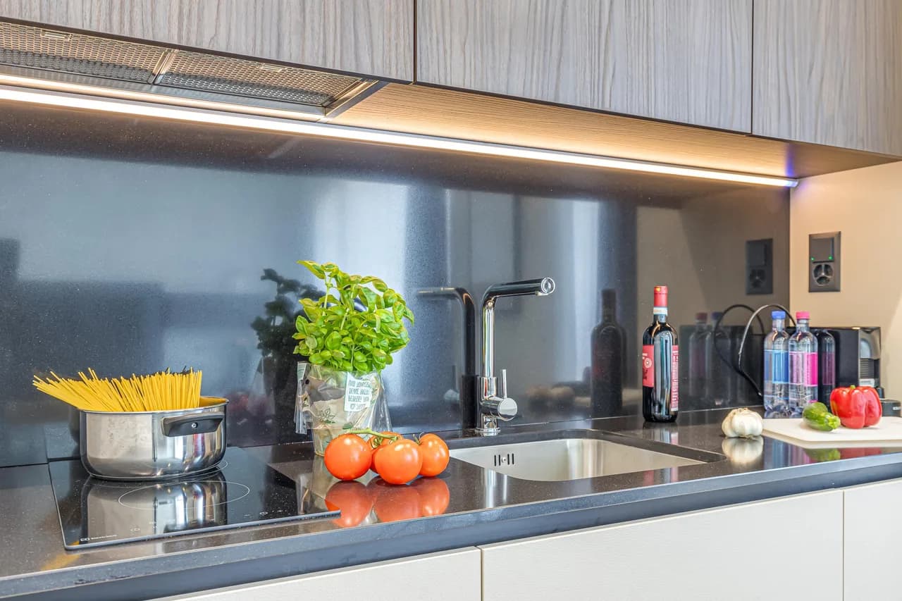 ICON H Lugano 506 Suite Business photo 4