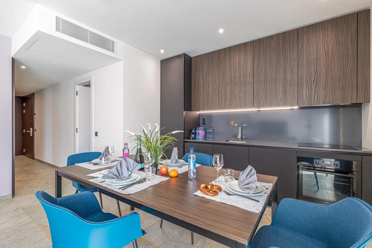 Contemporary Business Apartment in Ticino photo 3