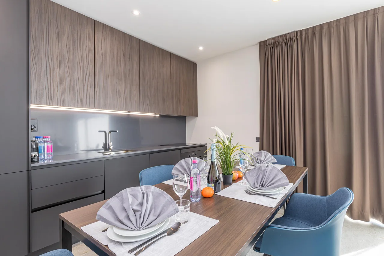 Contemporary Business Apartment in Ticino photo 4