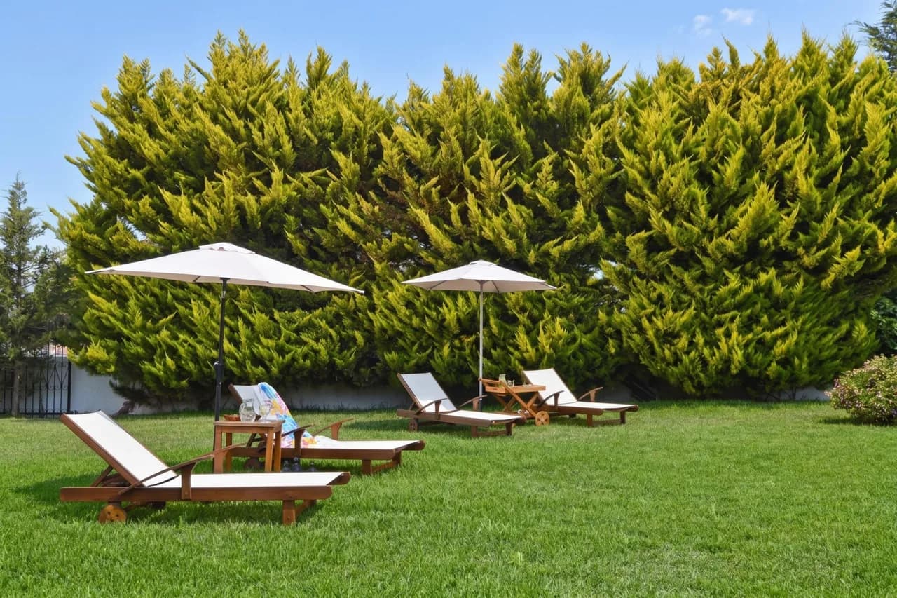 Charming Poolside Villa in Patras, Achaia, Greece photo 3