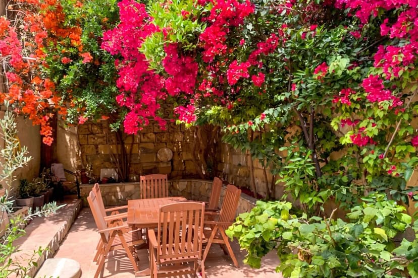 Bougainvillea Breeze & Marina View