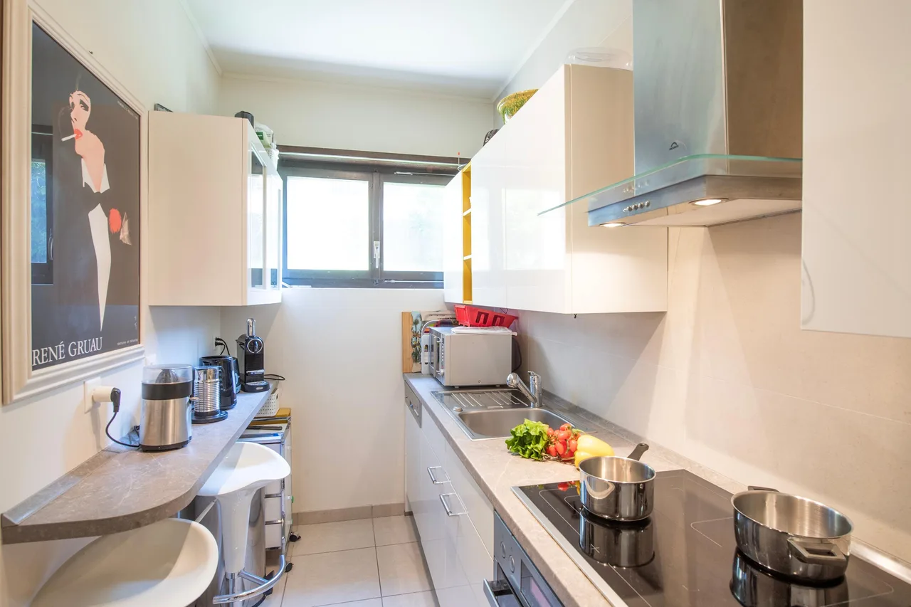 Lake View Apartment with Terrace in Ticino photo 4