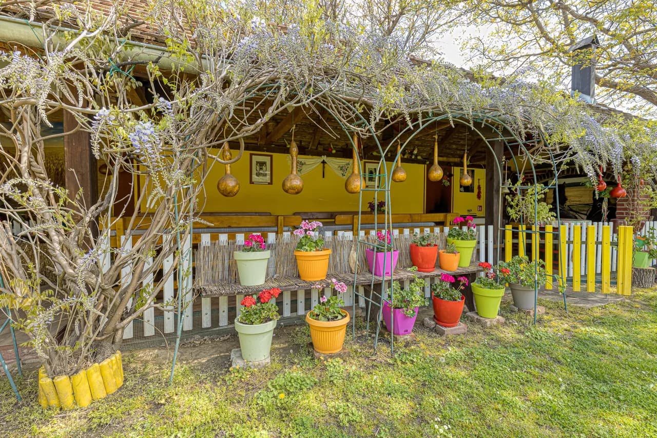 Traditional Child Friendly Homestead Larva photo 2