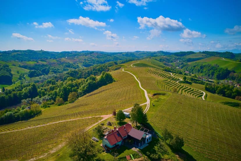 Vineyard House Marijan w/ Panoramic Views