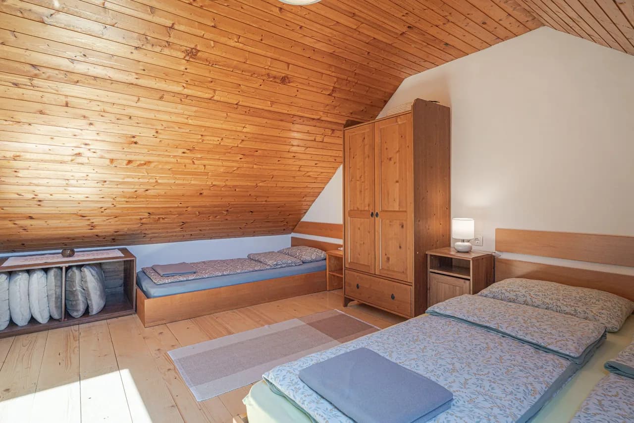 Vineyard View Vacation Home in Ljutomer photo 5