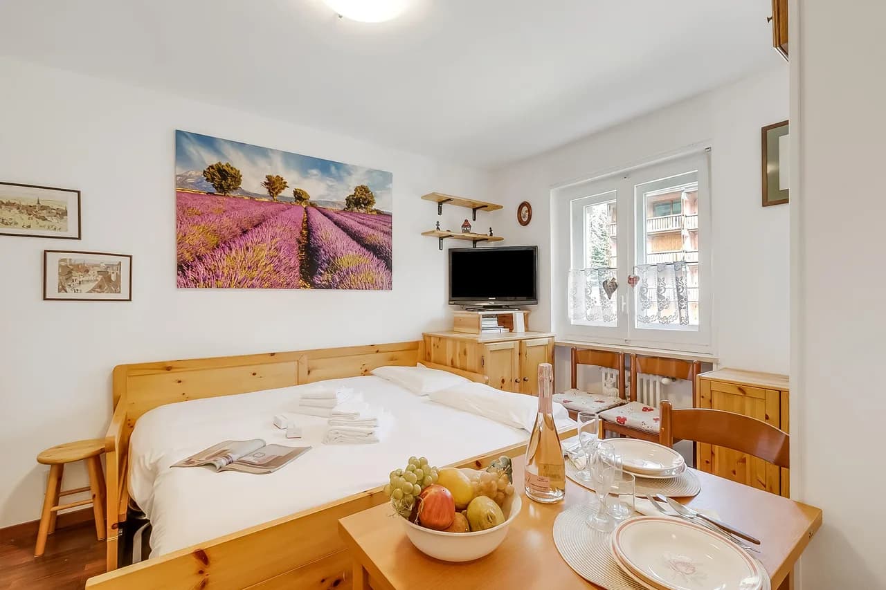 Hermitage Studio - close to ski pistes photo 3