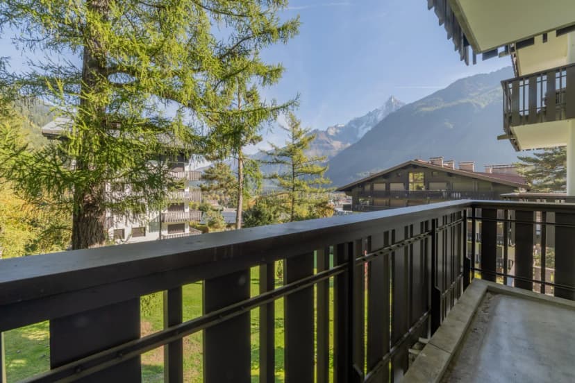 The Brevent Nest Ski-in/out + Balcony & Parking