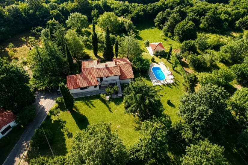 Marisa Olive Grove - App Terra