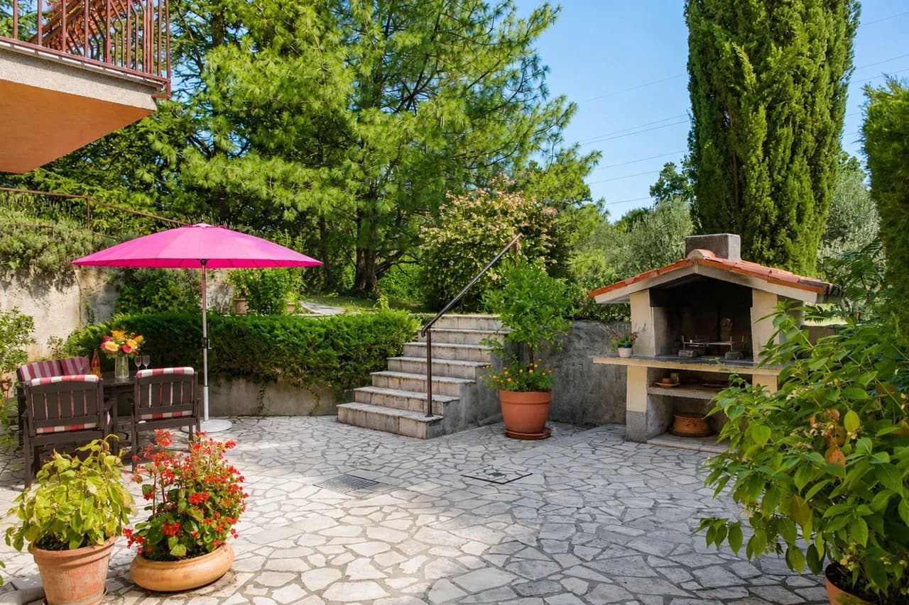 Marisa Olive Grove - App Terra photo 3