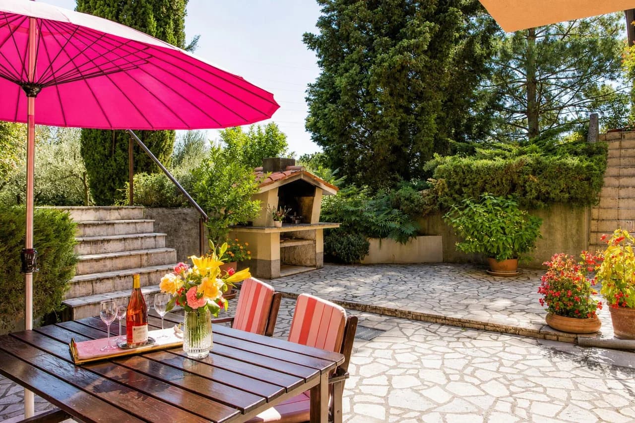 Marisa Olive Grove - App Terra photo 4