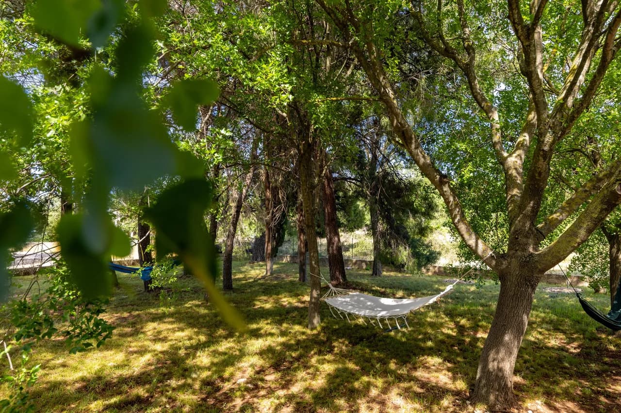 Tropical Pool and Garden Home in Jagodnja Gornja photo 3