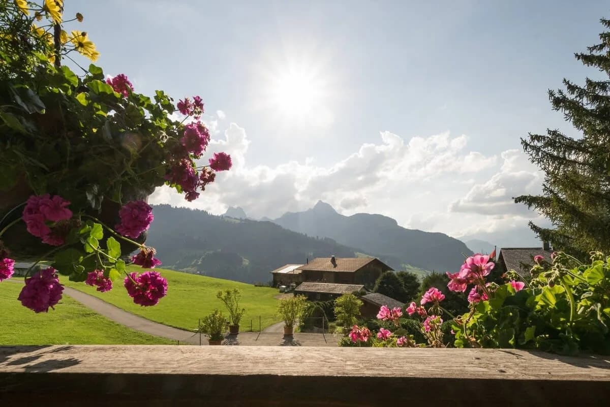 Gstaad Duplex Flat - Amazing Lake Chalet with pond photo 3