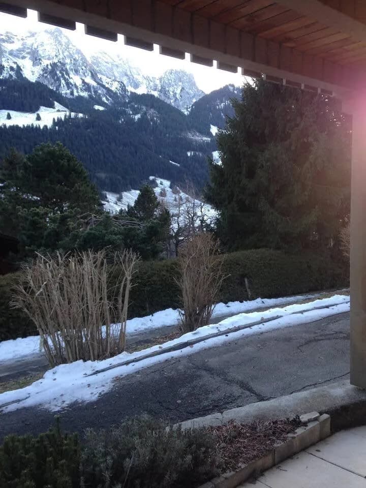 Alp Sunrise - Top View Cozy Chalet photo 4