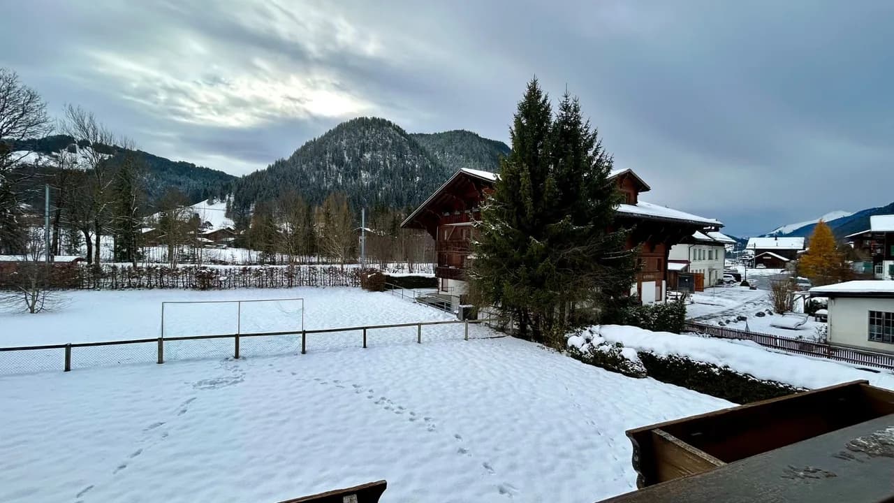 Gstaad - Luxury Flat in Saanen photo 2