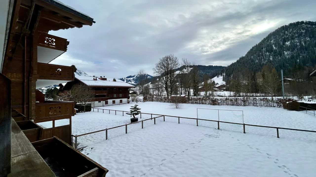 Gstaad - Luxury Flat in Saanen photo 5