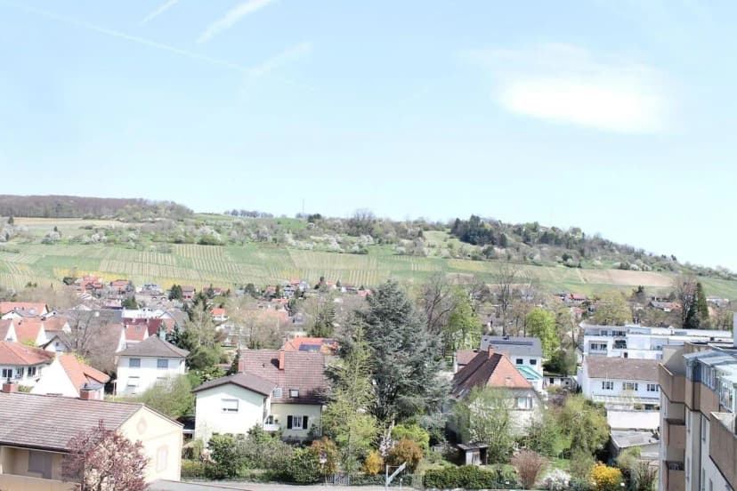 Basel Fair - Amazing Penthouse with stunning views