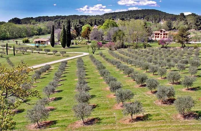 Stuning Mansion on 10 hectares with Pool & Tennis photo 3