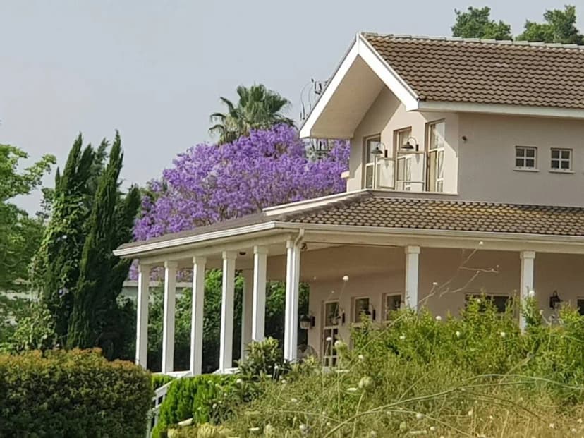 Amazing Designed Villa near nature woods and beach