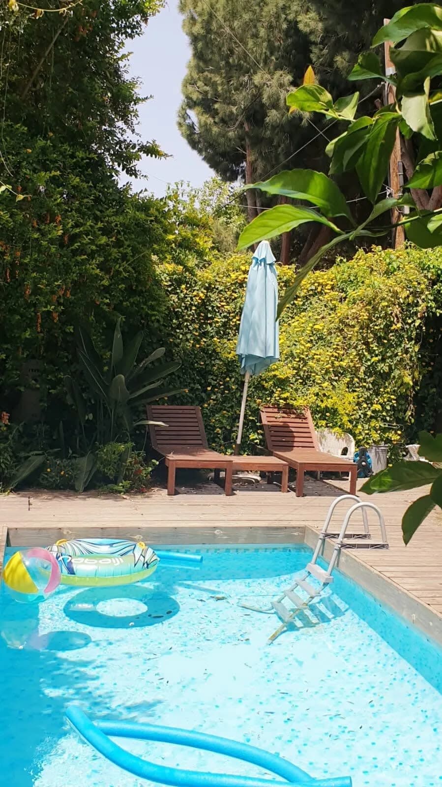 Super nice villa with pool 10 min from Natania photo 5