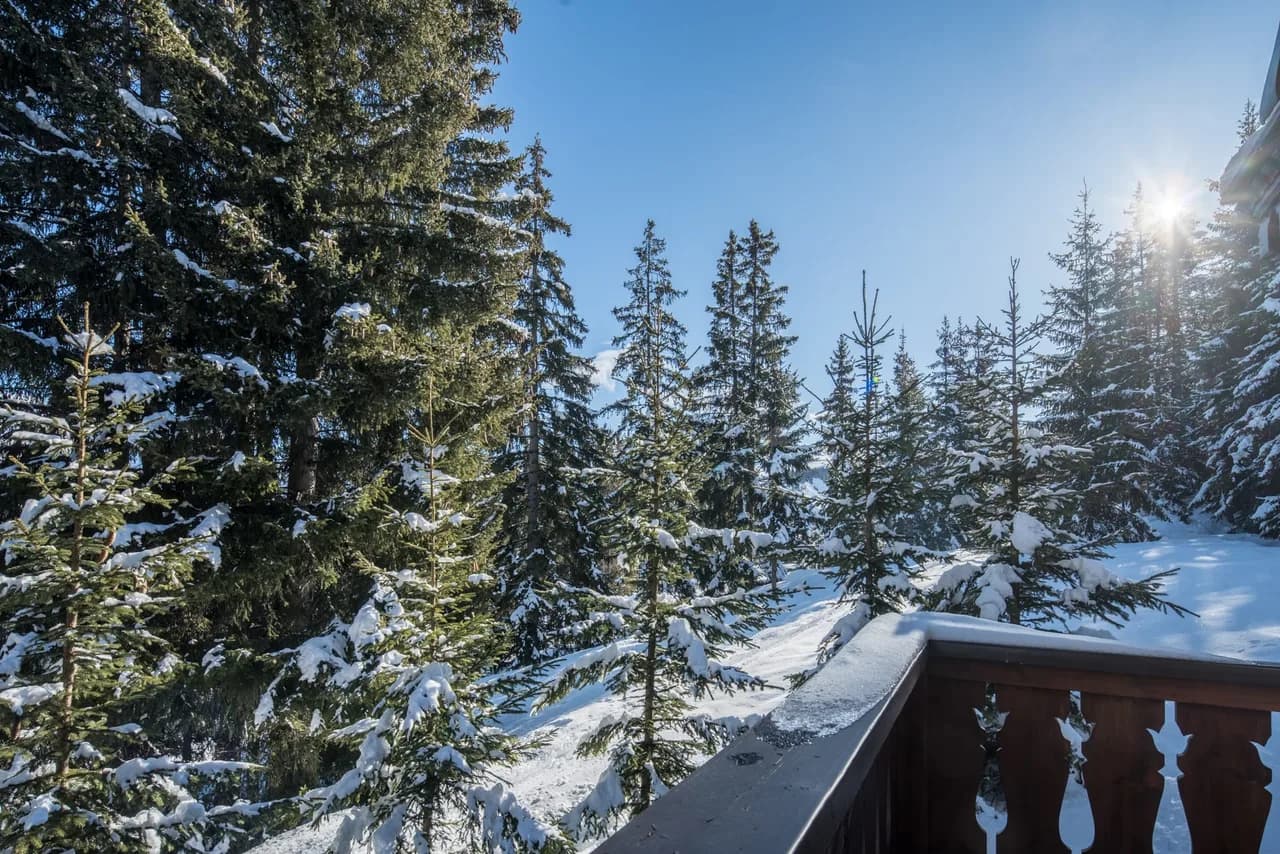 Stunning Deluxe Chalet with Pool and Wellness photo 2
