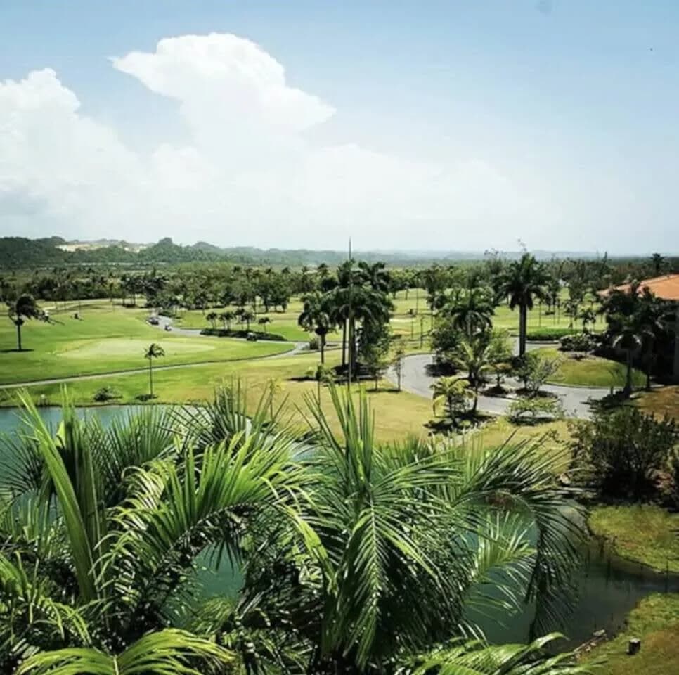 Deluxe Pleasant Villa in Ritz Carlton Reserve photo 3