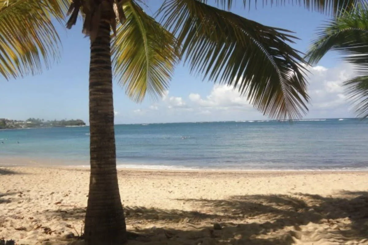 Deluxe Pleasant Villa in Ritz Carlton Reserve photo 5
